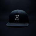 Chrome Emblem Snapback Cap